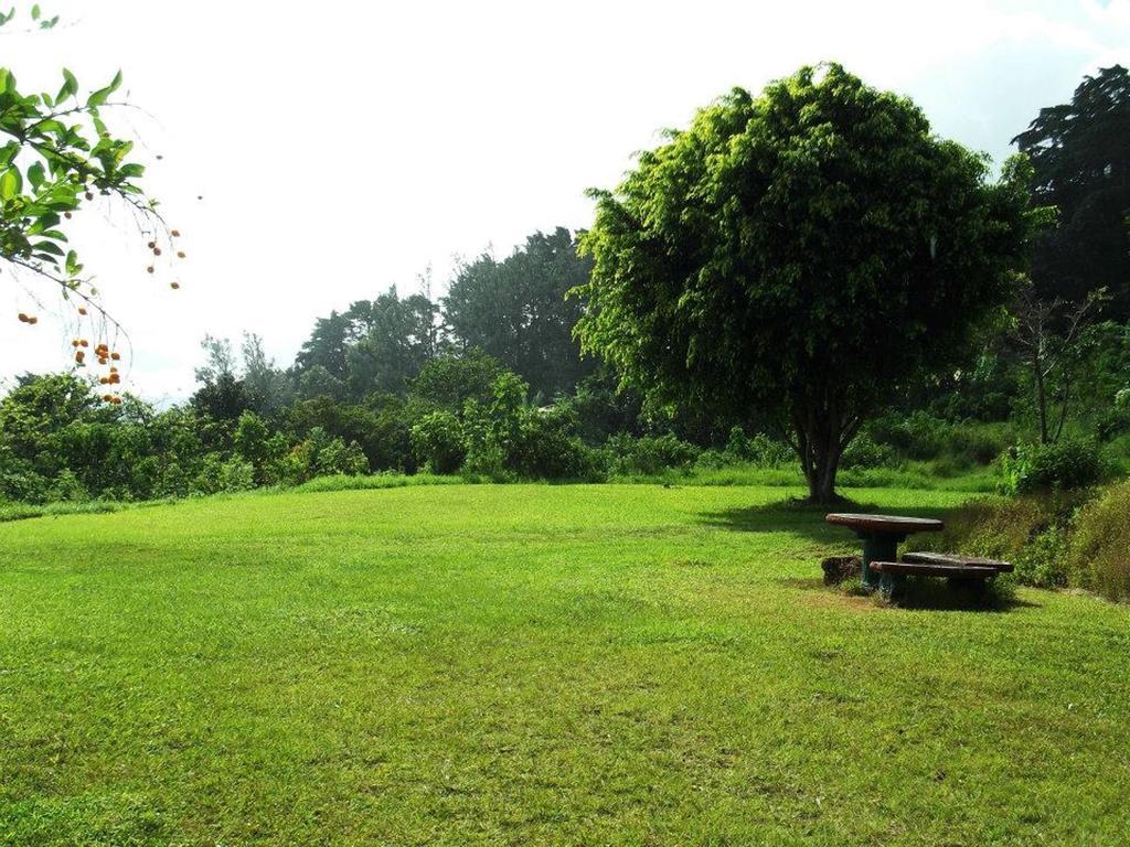 Hotel Las Fresas Del Volcan Poas Sabana Redonda Экстерьер фото