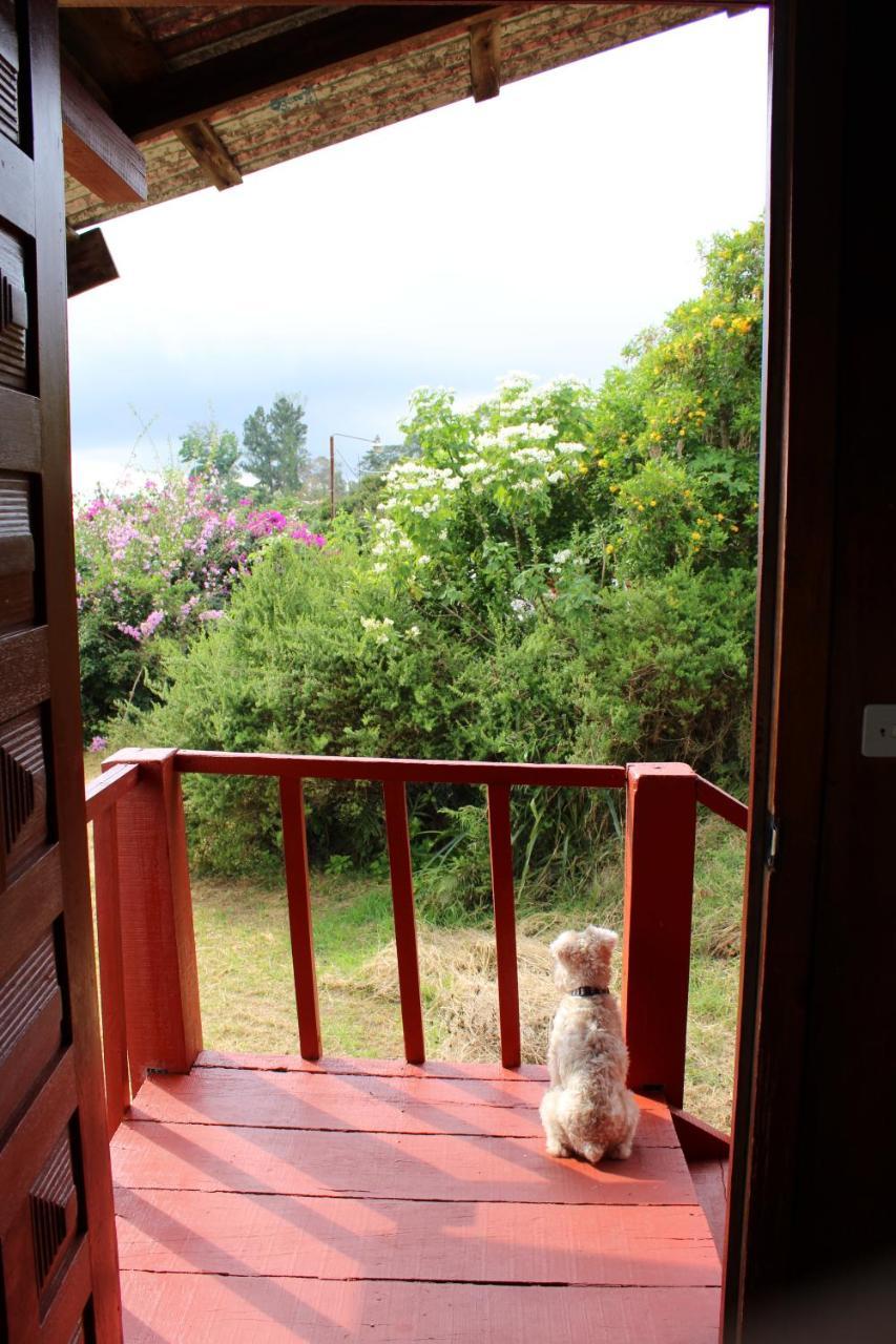 Hotel Las Fresas Del Volcan Poas Sabana Redonda Экстерьер фото